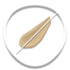 Icon 3
