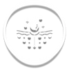 Icon 5